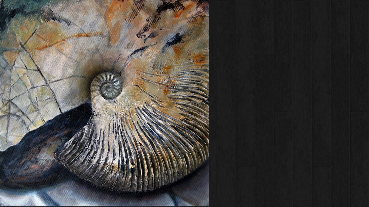 Ammonite # 2  © Jo Sheppard