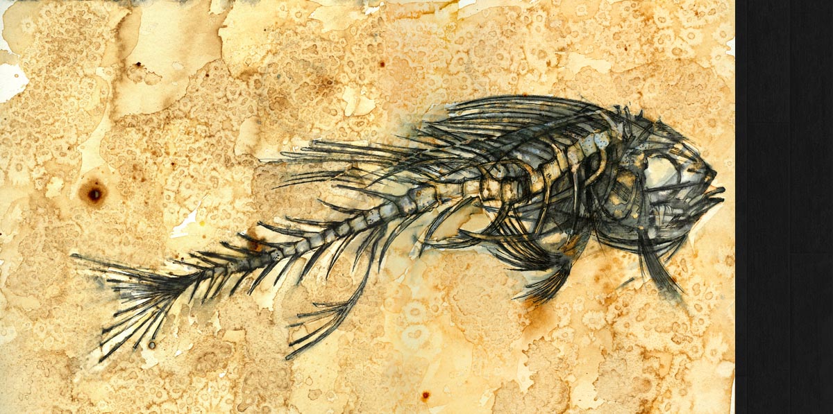 Fossil Fish # 2 © Jo Sheppard