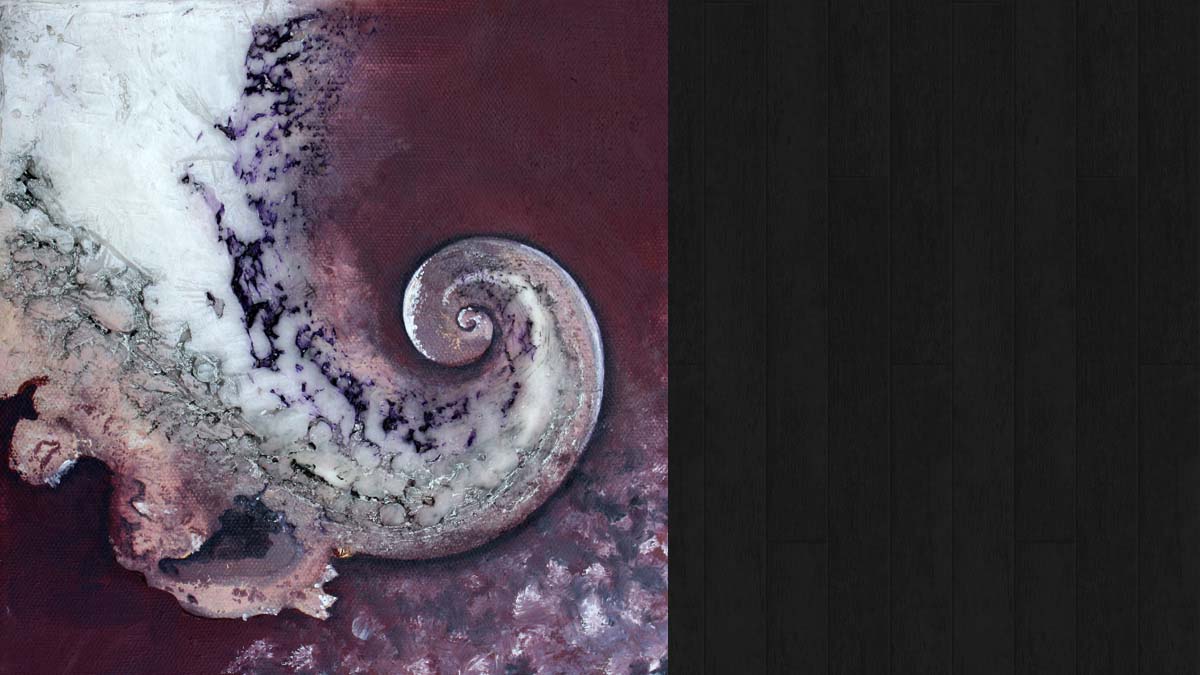 Prepared and Polished # 3 © Jo Sheppard