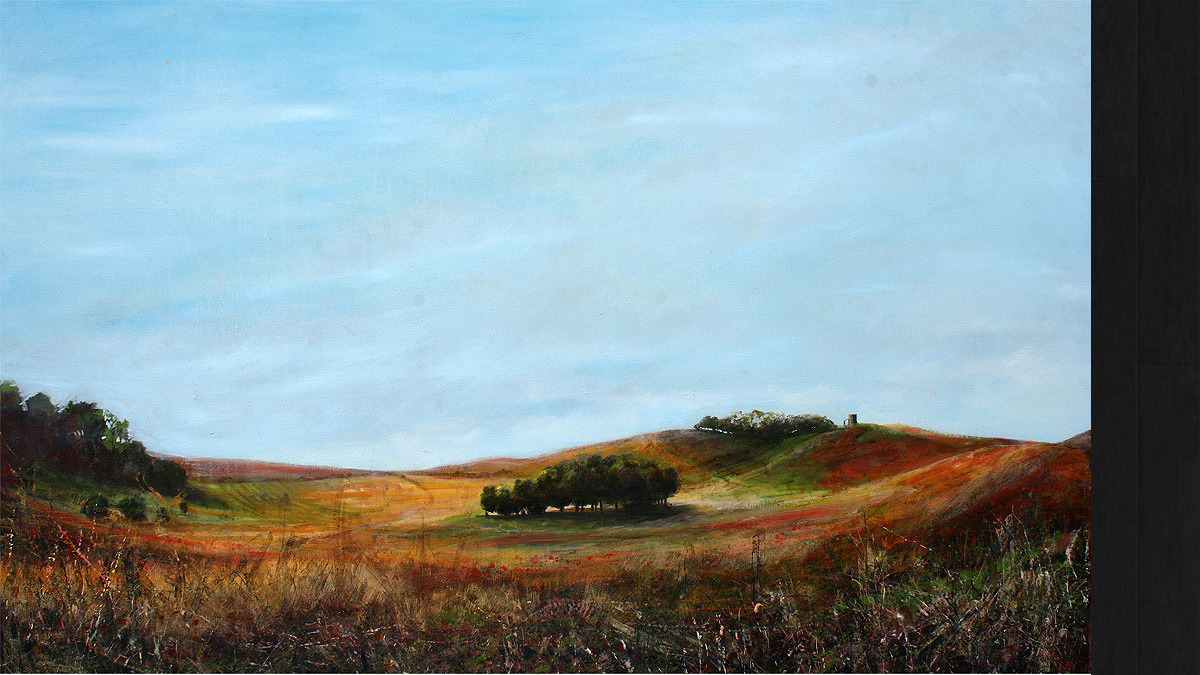 Resting While the Birds are Singing  © Jo Sheppard