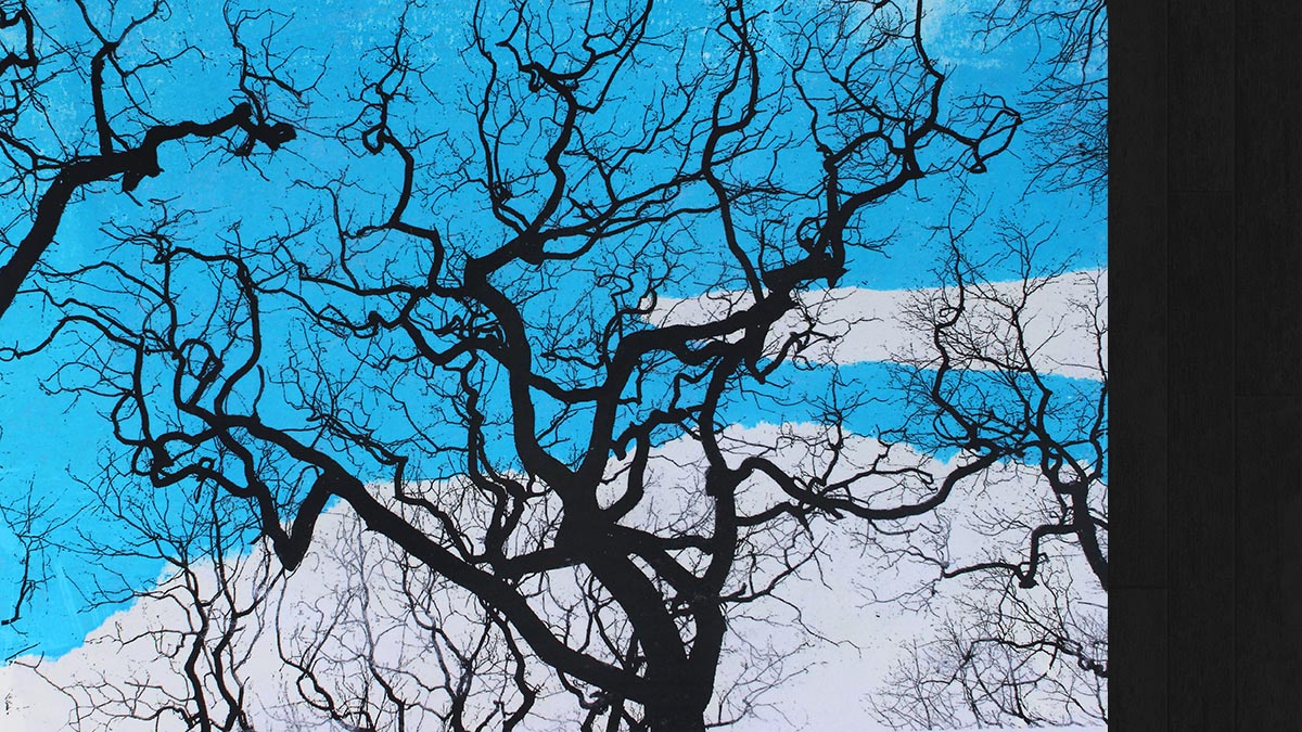 Riversley # 3 © Jo Sheppard