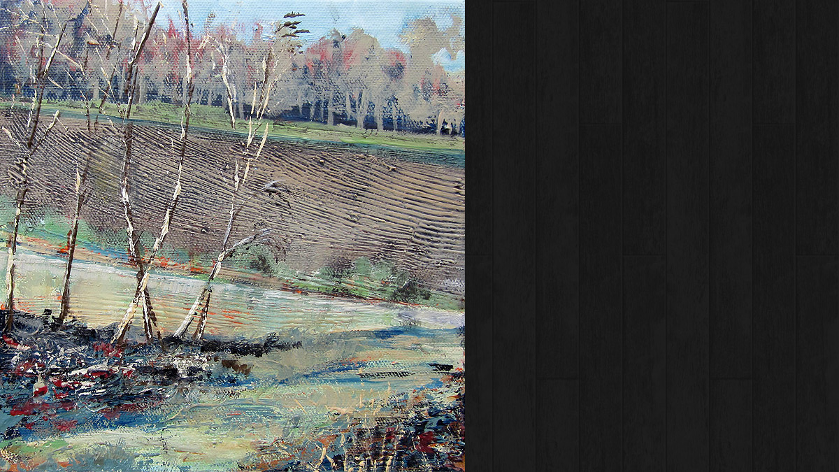 Silver Birches  © Jo Sheppard