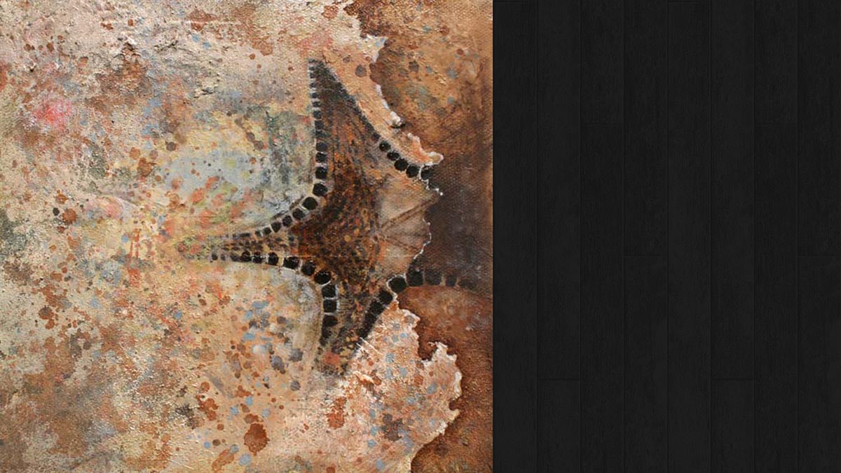 Starfish Fossil © Jo Sheppard